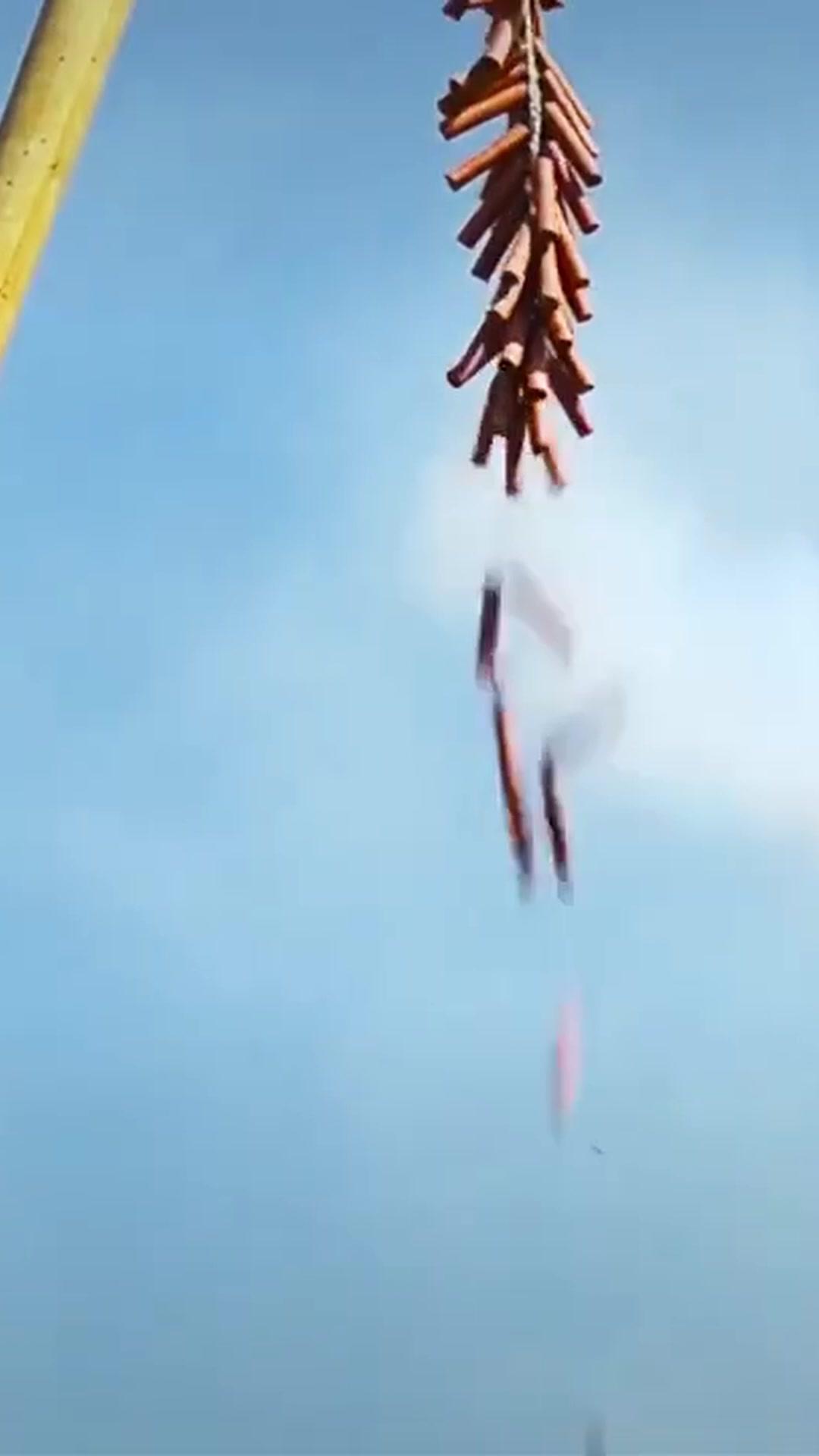 Sarayın Gerçek Hanımı