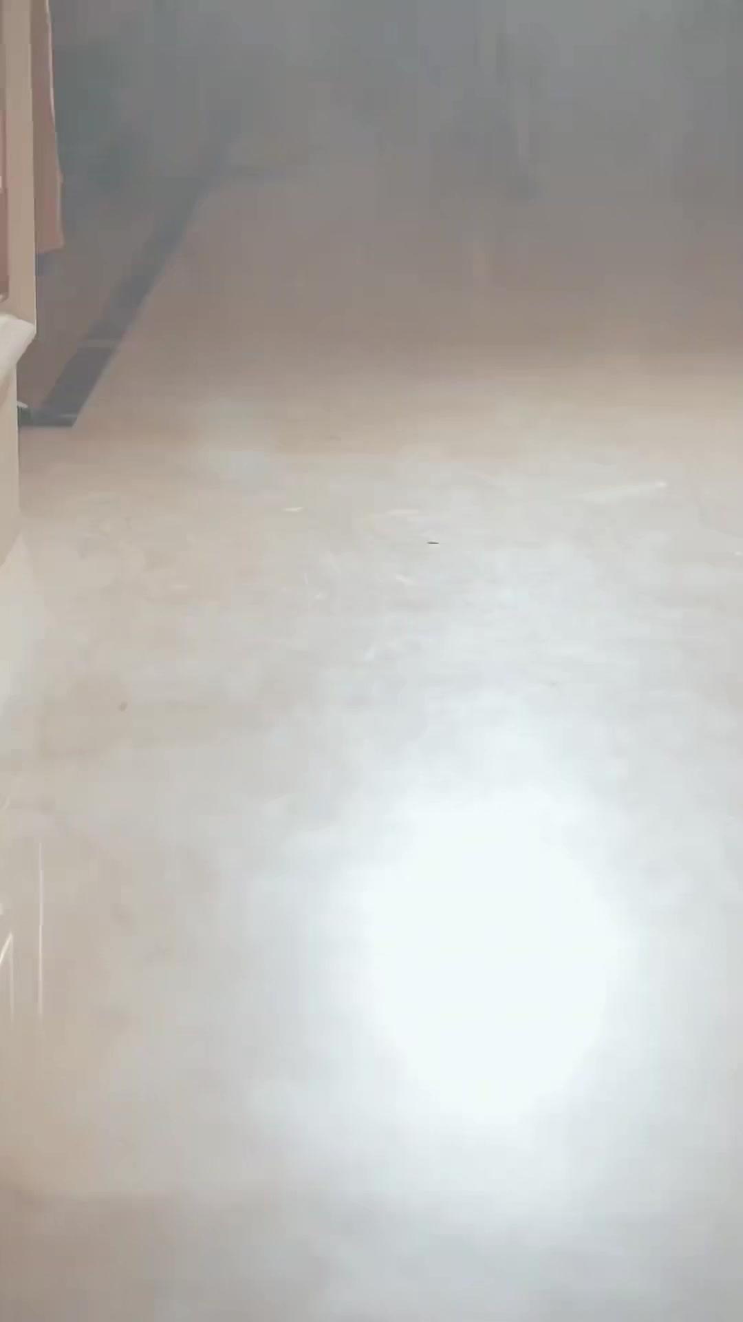 CHOYÉE APRÈS MA RENAISSANCE