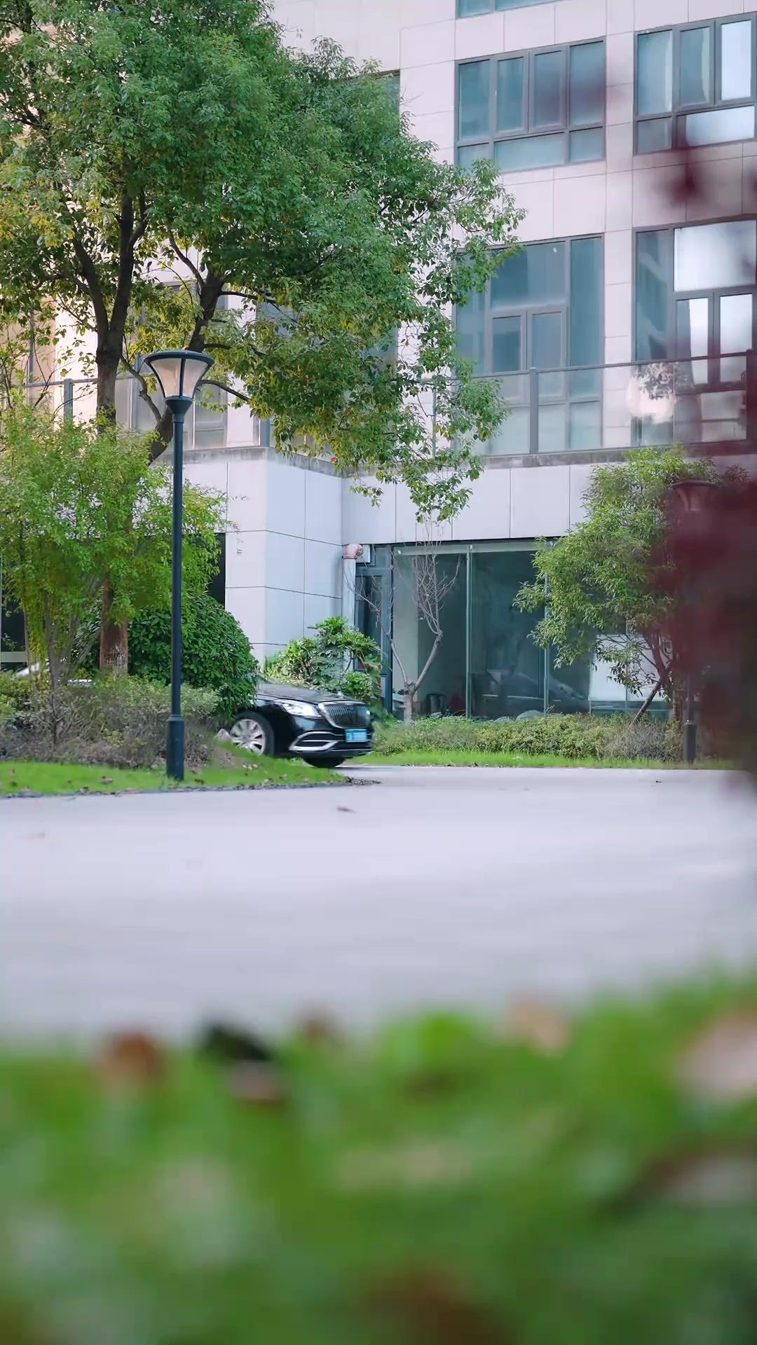 Después de la mentira, llegó el amor