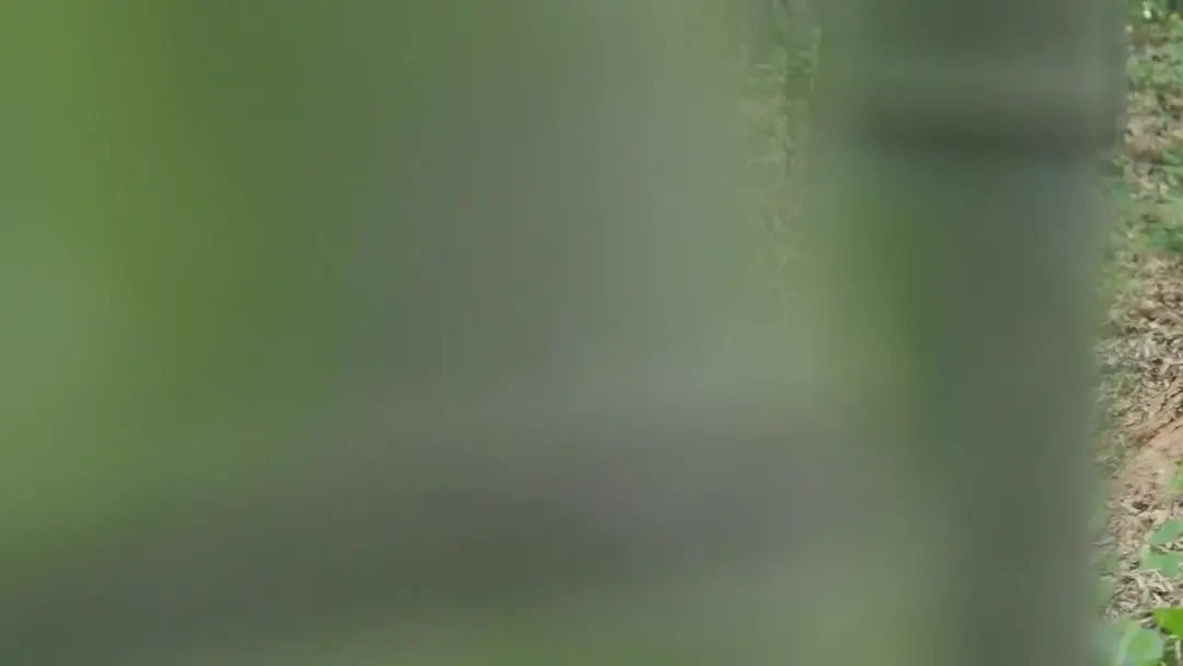 Fists of Steel, Heart of Flames: When Grief Wears Silk and Bleeds On Command