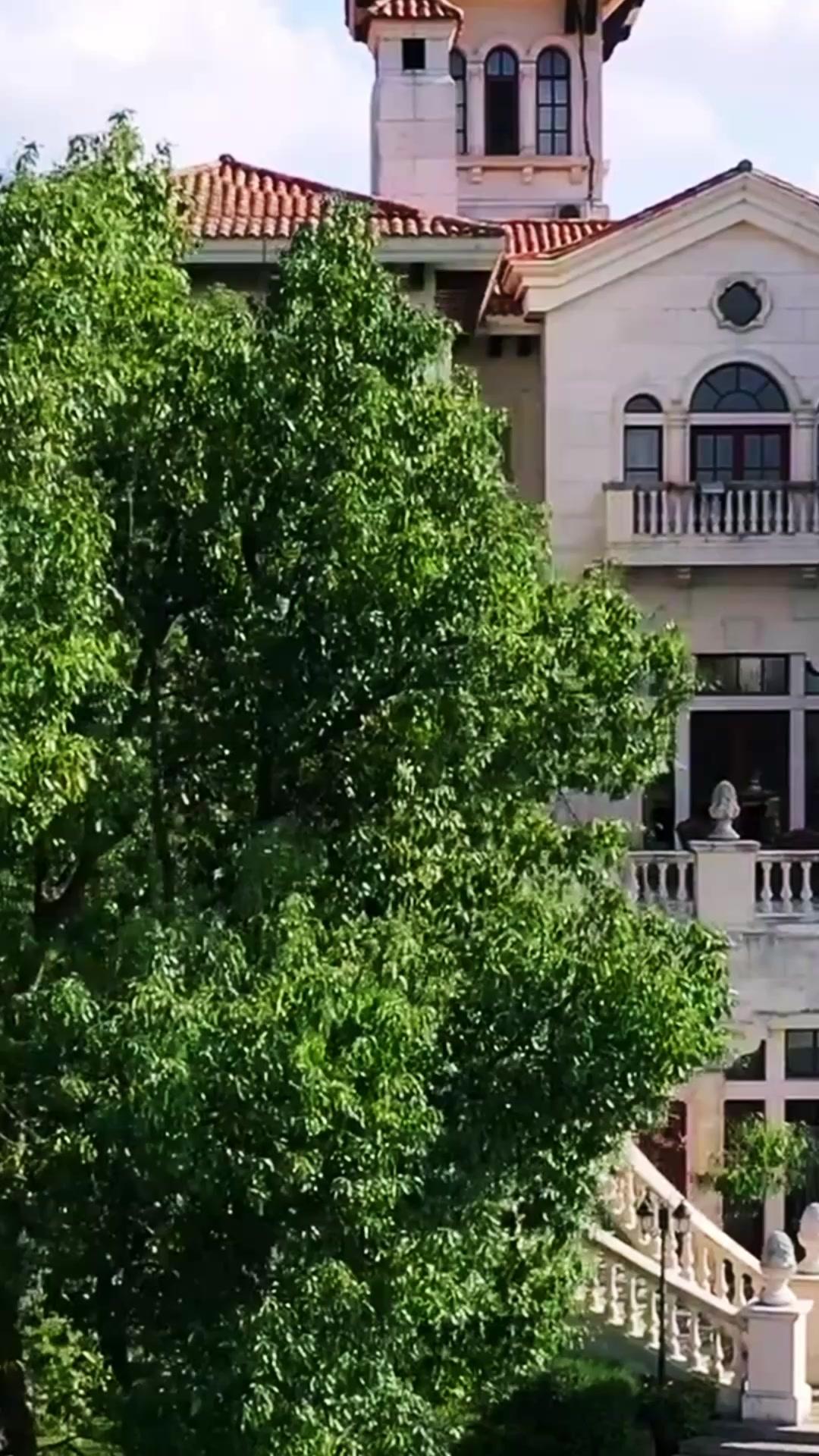 Mr. Ex, I Won't Turn Back