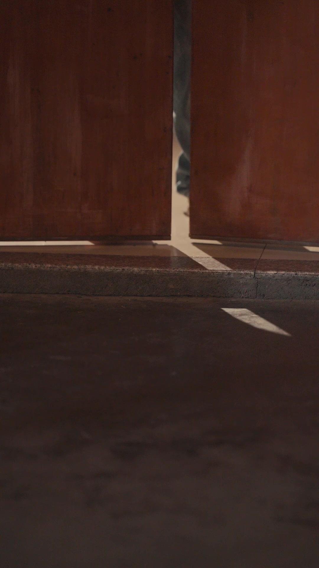 Flee As a Bird to Your Mountain