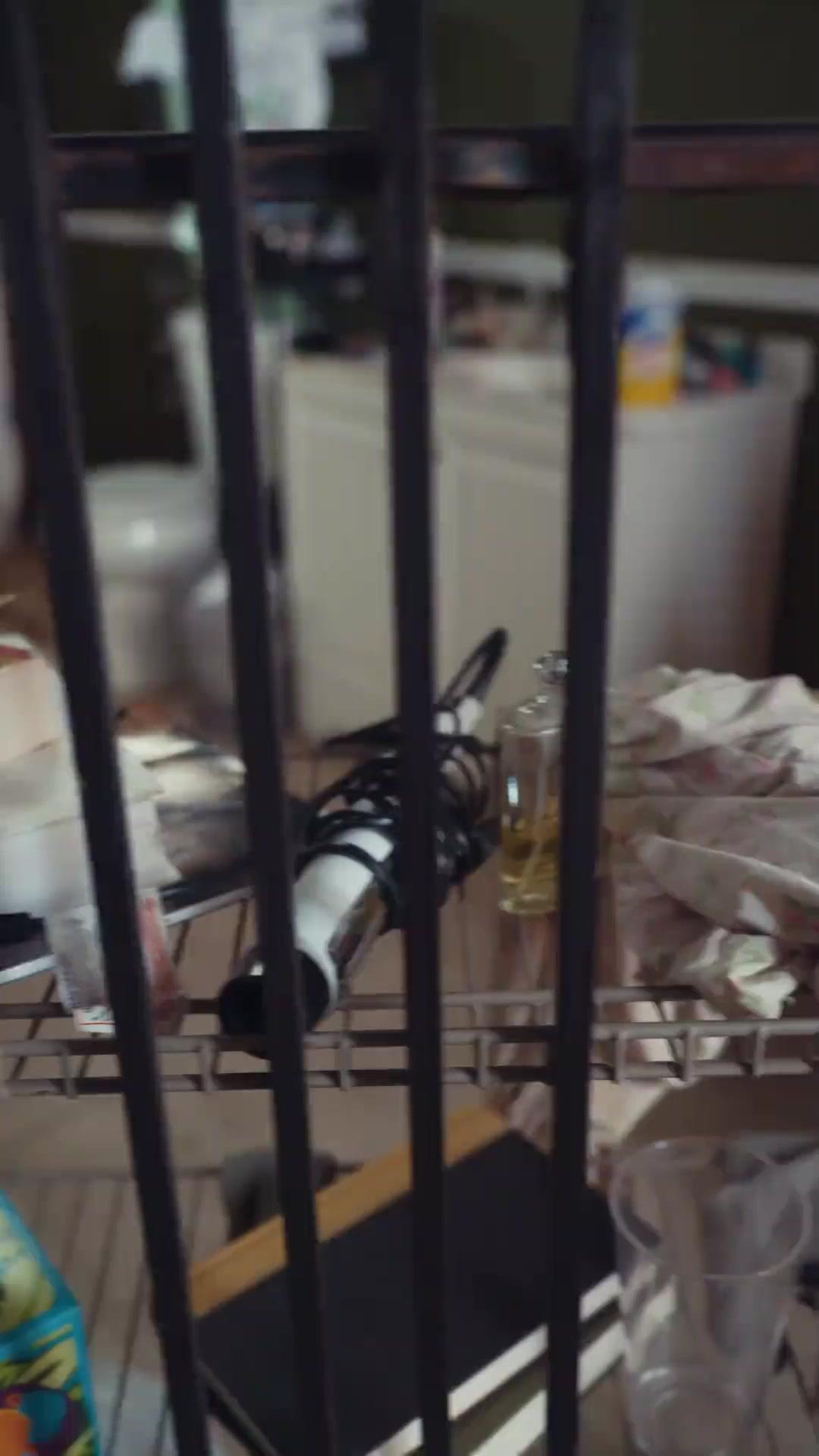 (Synchro)CEO-Zwillinge unterwegs, die Liebe beginnt