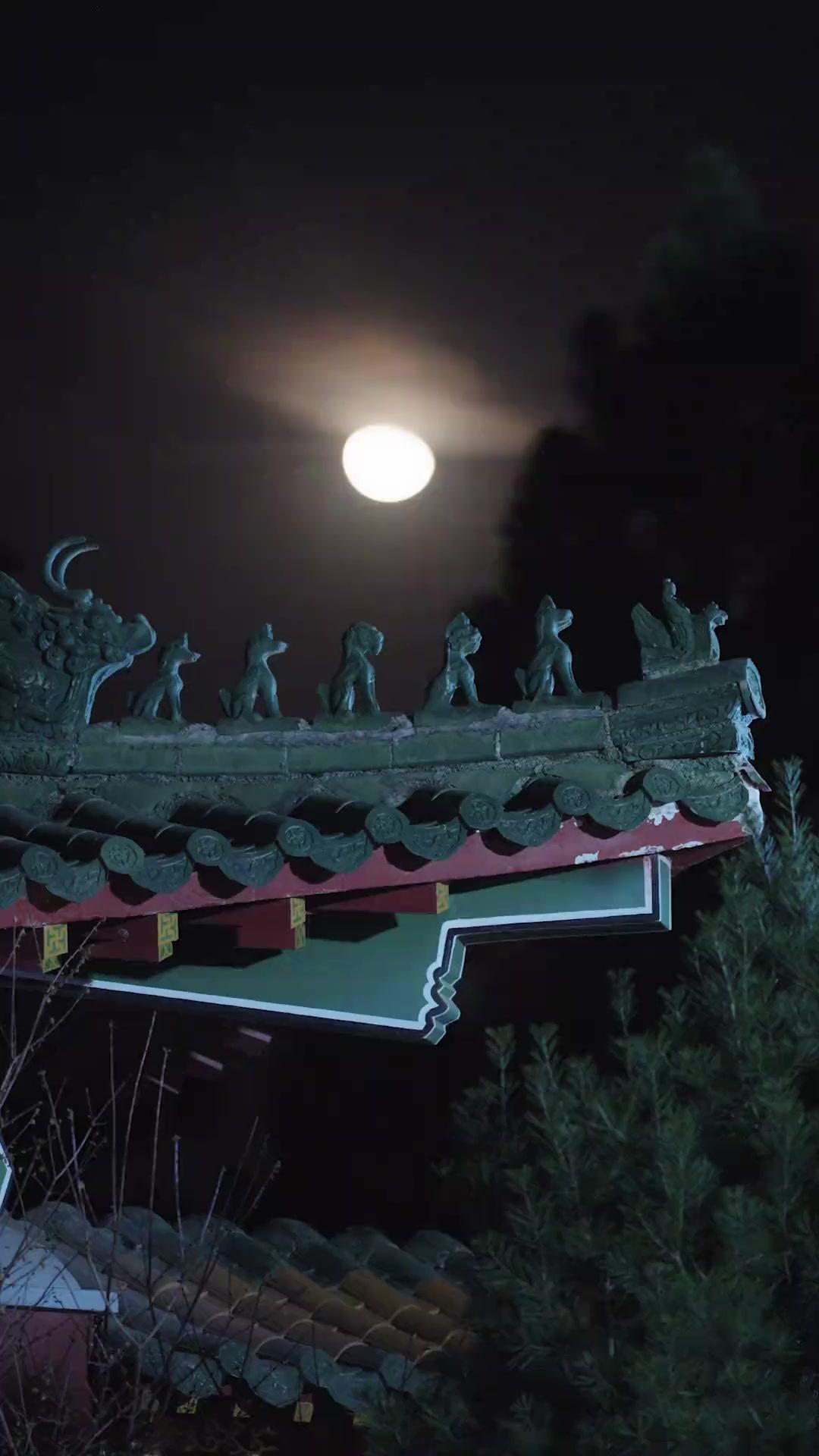 毒を食べたら将軍様が離れません