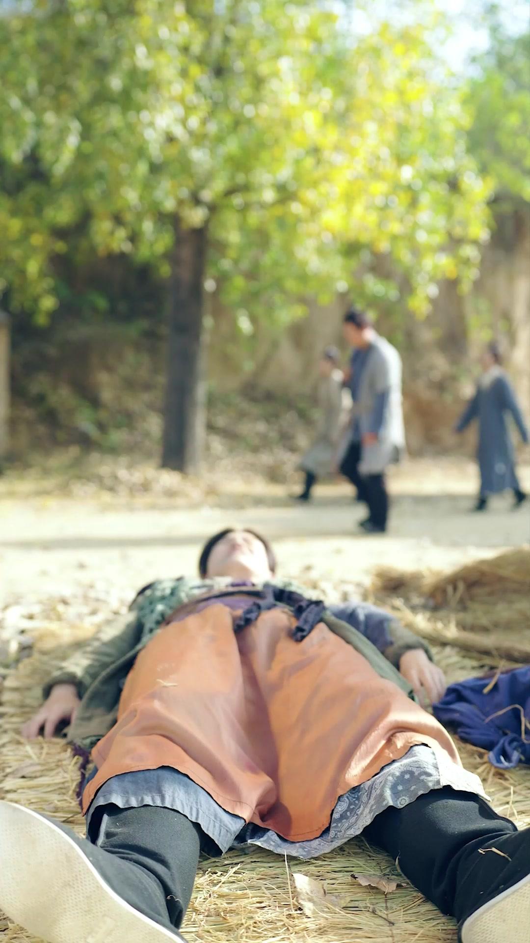 納妾系統，但我是好丈夫