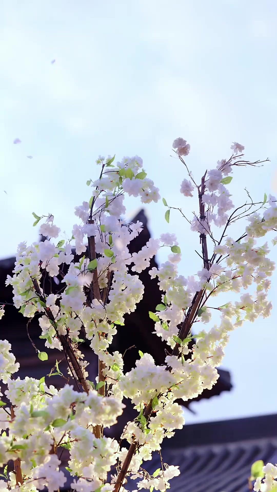 วาดรักใต้แผนลวง