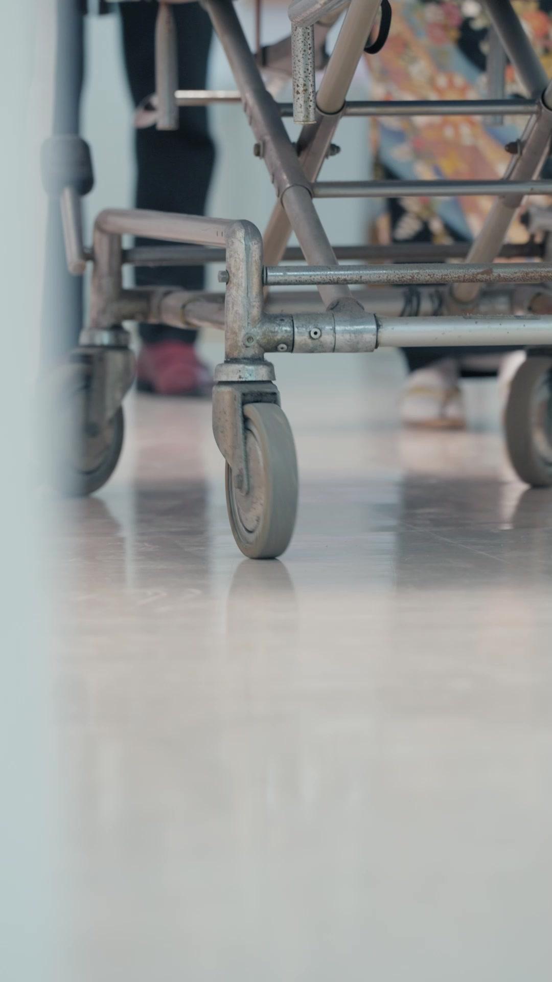 Sakura Beneath the Shrine