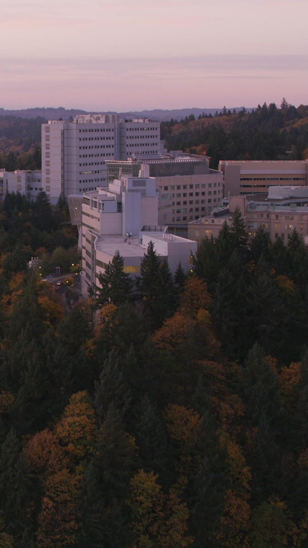 Il Marito Proibito‌