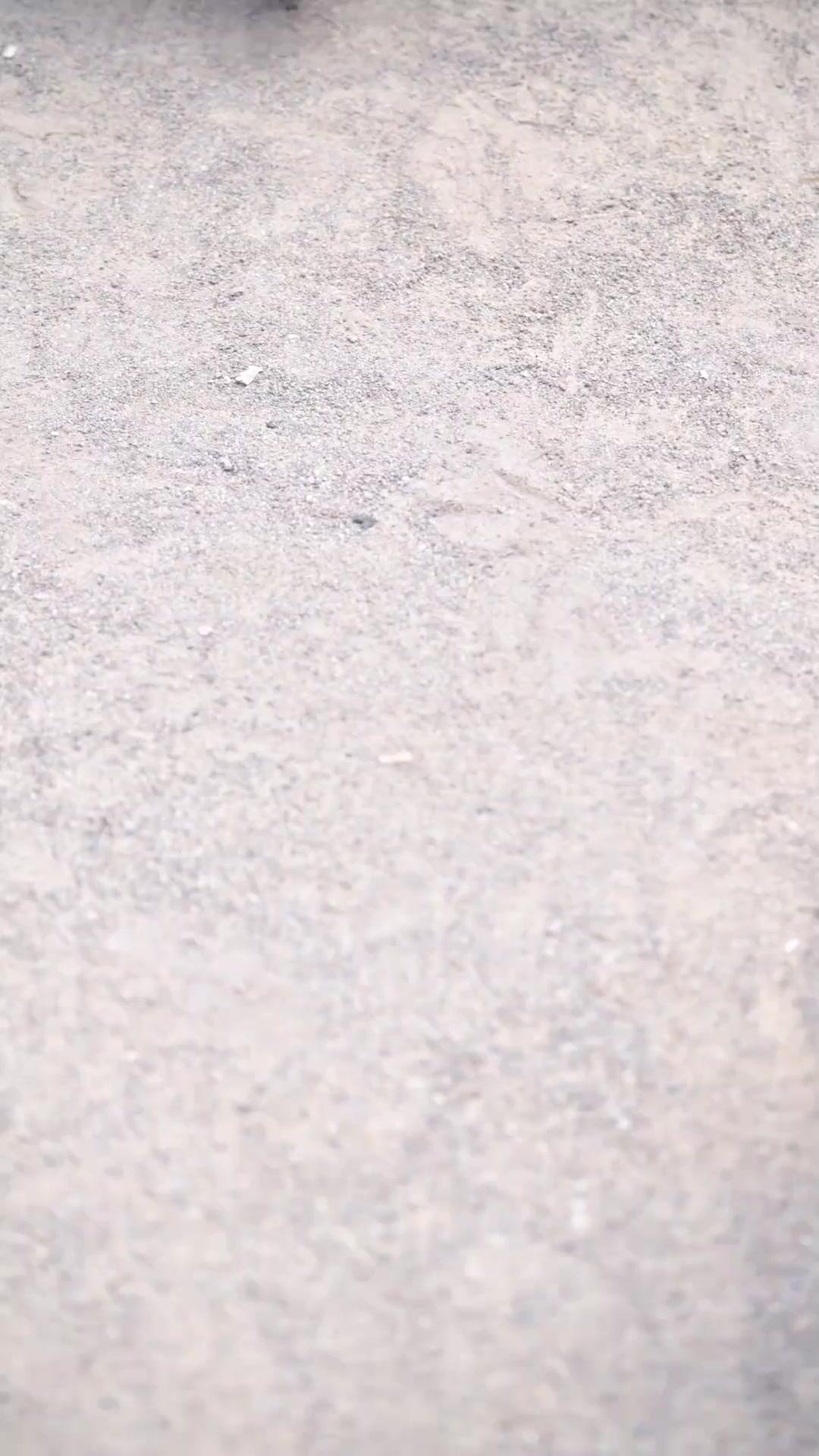 حاكم الأقدار المتخفّي