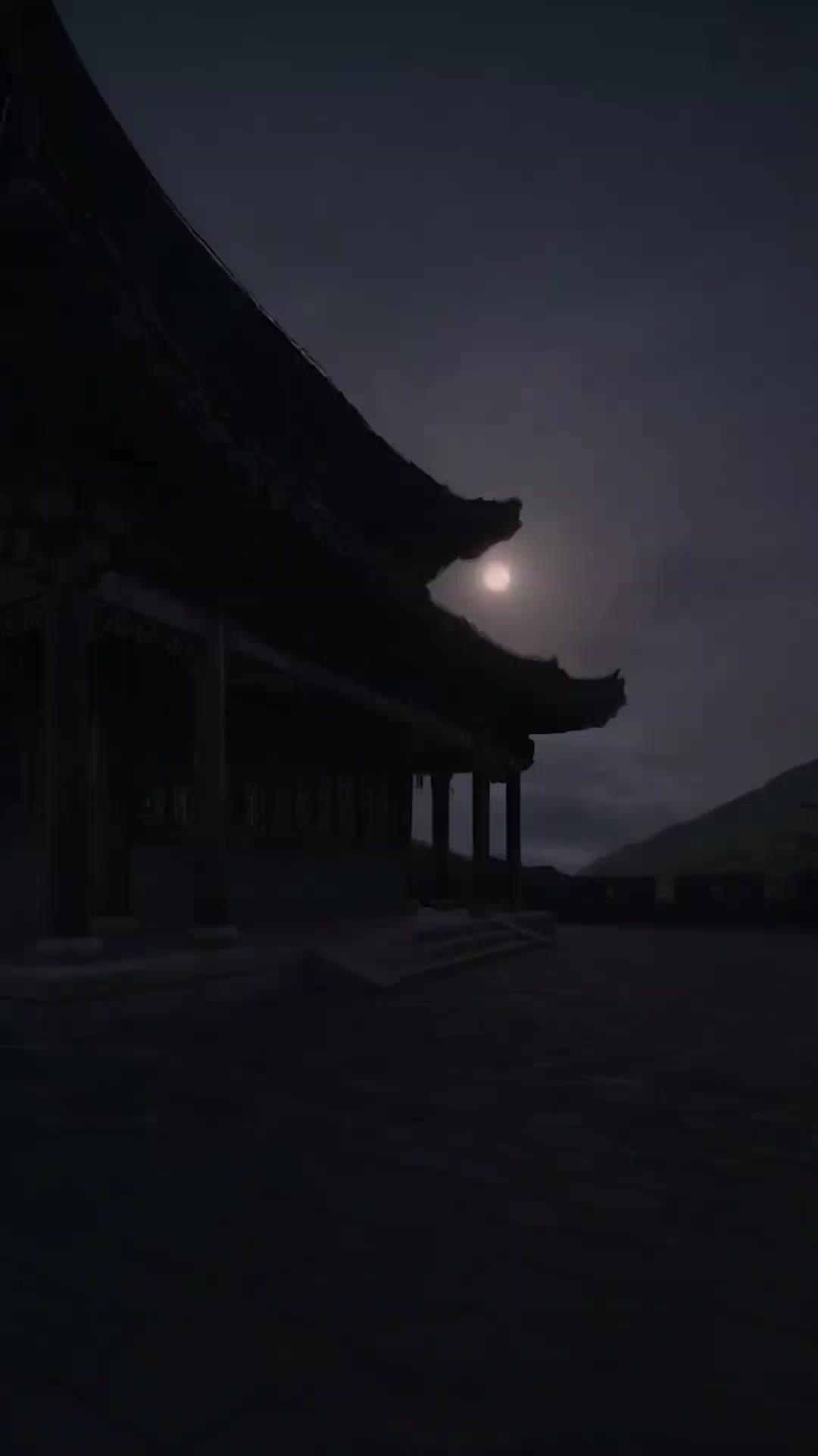 (Dubbed)Rise of the Thug