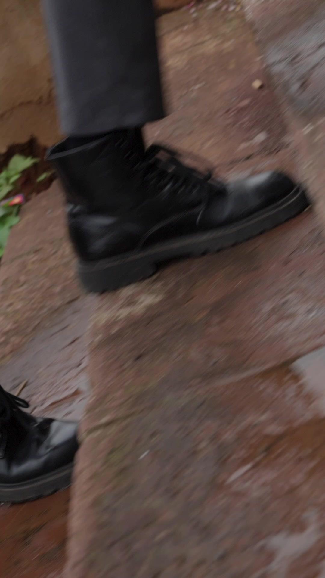 Bunga Mekar Musim Panas