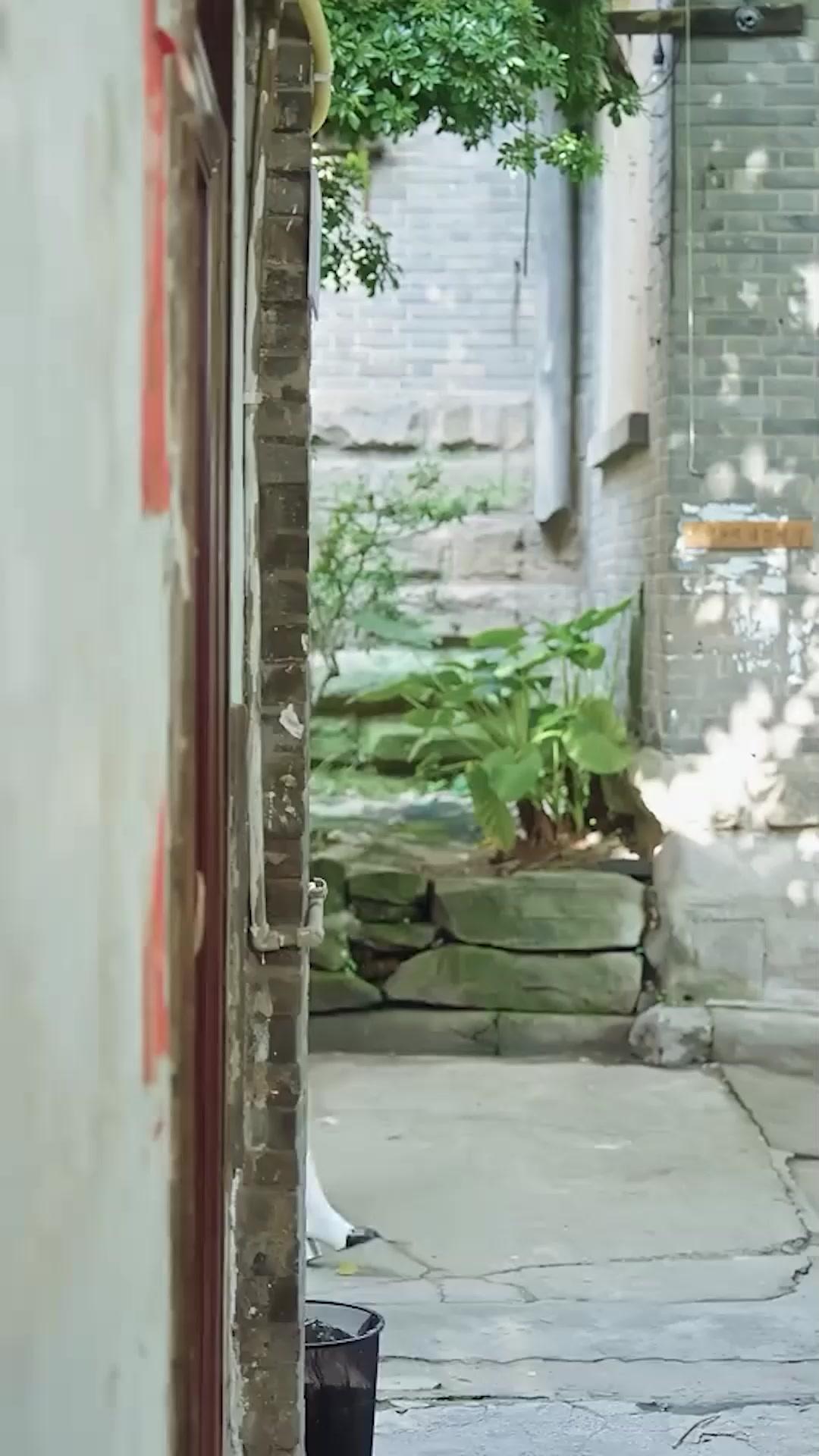 Meine Traumfrau verrät, dann beginnt eine andere Beziehung