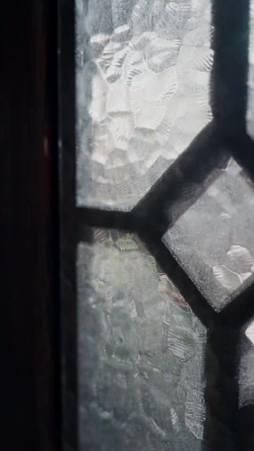 噂の名医 まさかお嬢さま！？