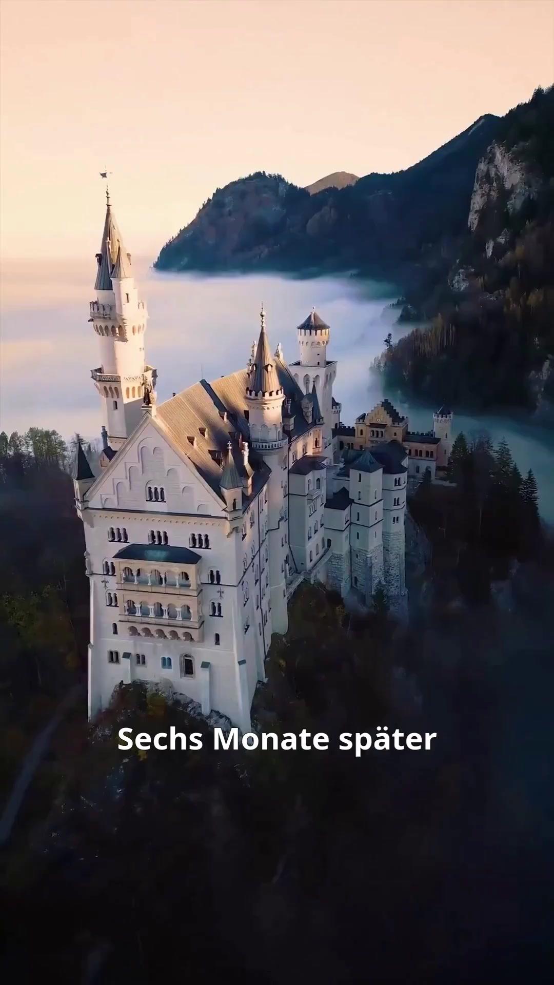 (Synchro) Mein Lykaner markierte mich zum Tod