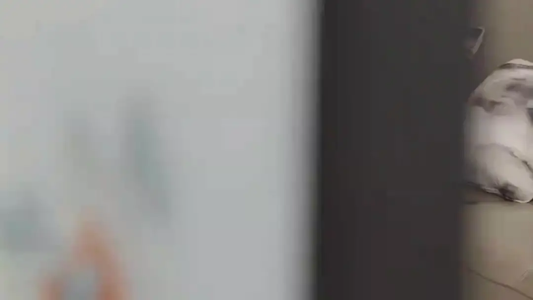 (Doublage) MA FEMME, LA PDG : Le coup de théâtre du bâton en bois