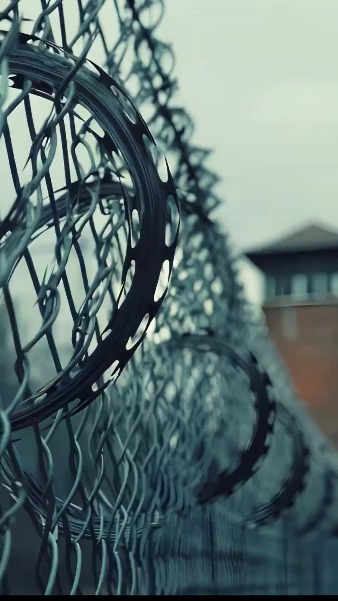 契約結婚だった君に全てを捧げん