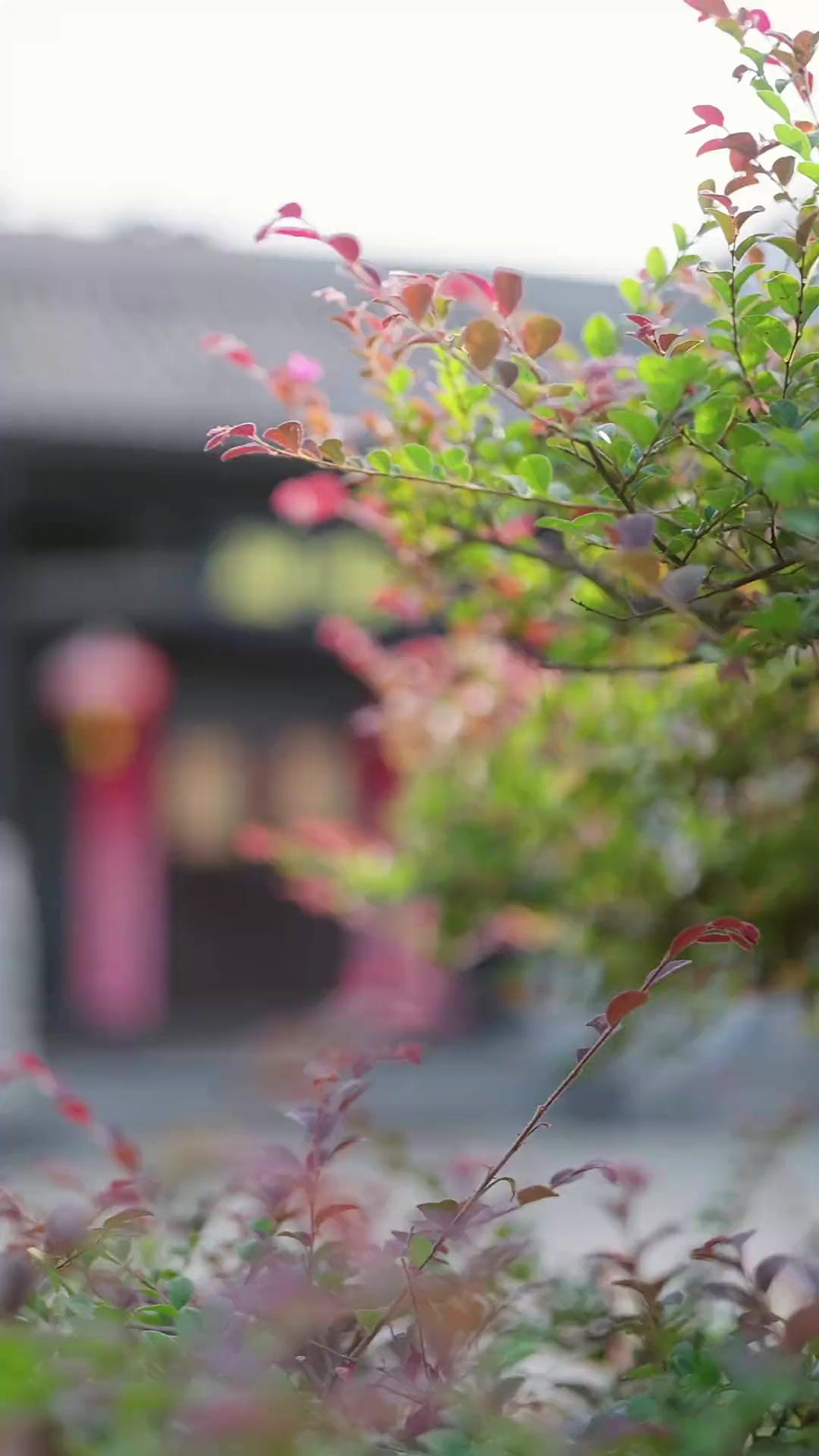 Dewa dan Kekasih Modernnya