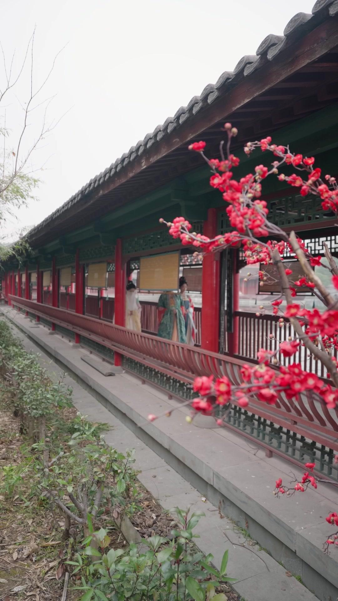 Vengeance of the Face-Swapped Heiress