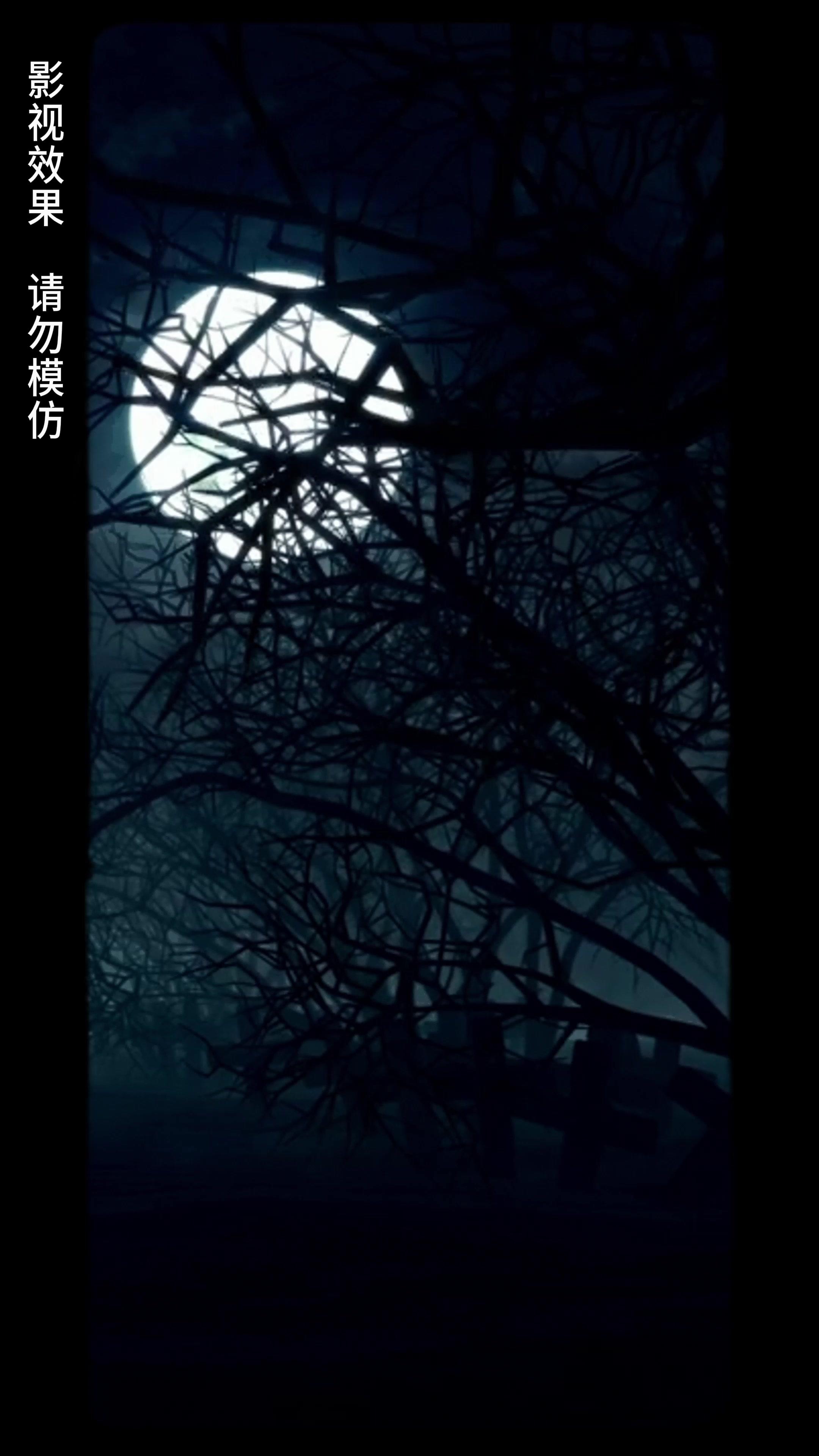 Marry First, Love Later