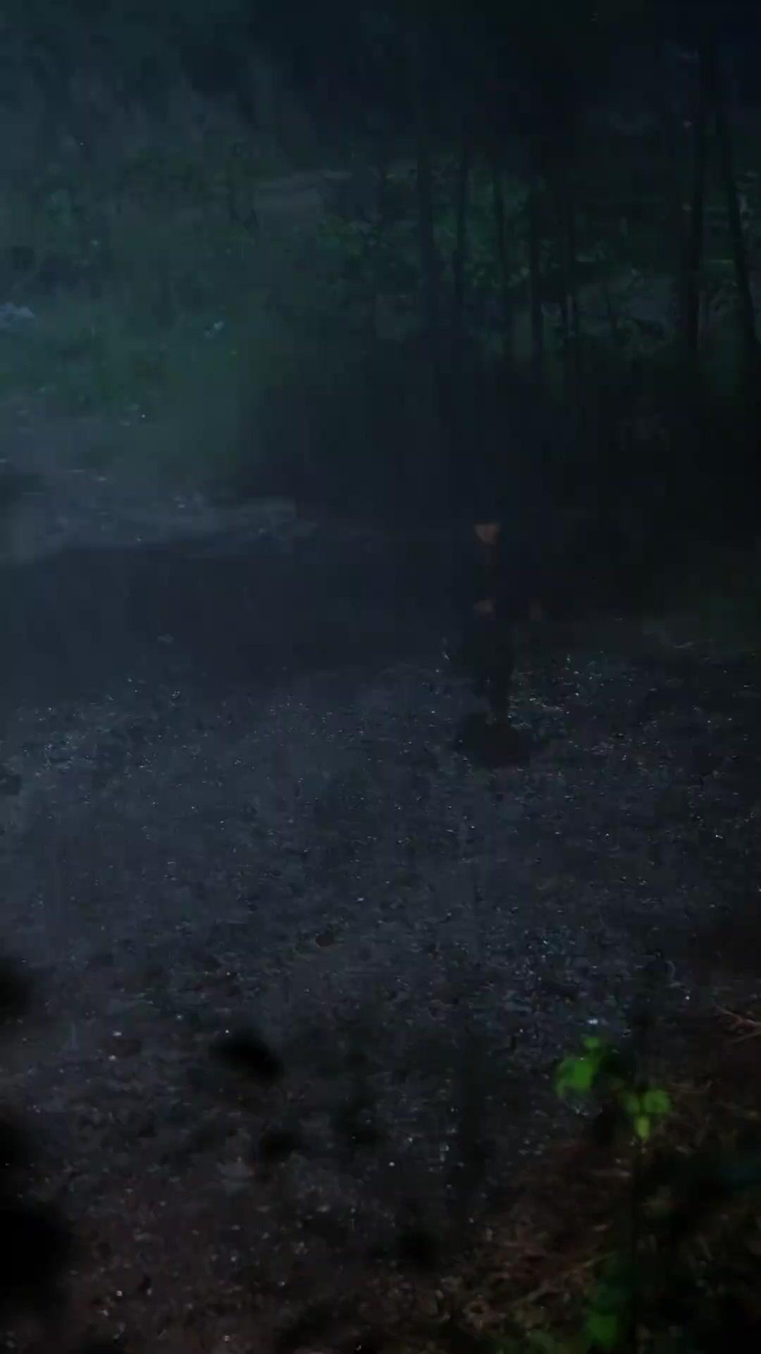 Küçük Çocuğun Macerası