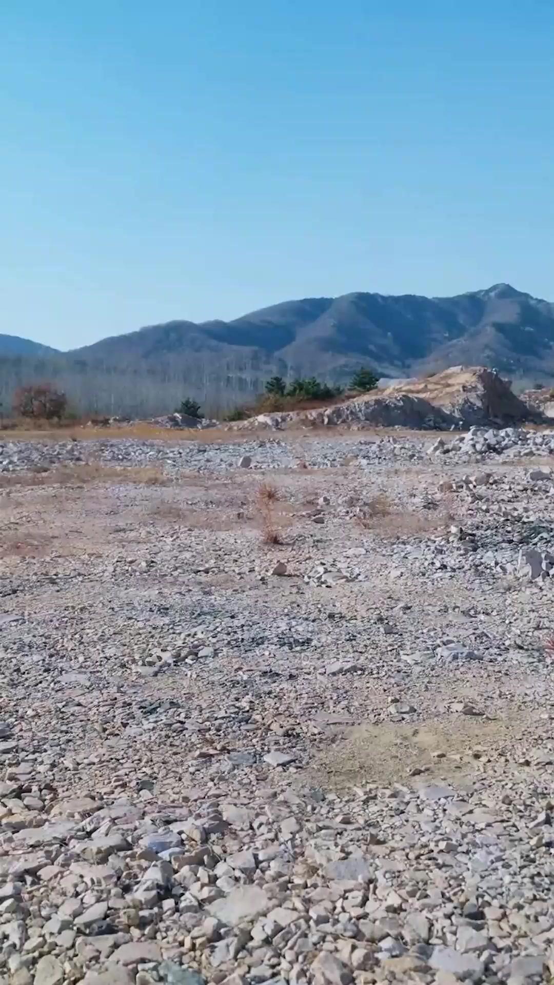 (Dublagem) O Rei Lobo Oculto: Um Híbrido Fracassado