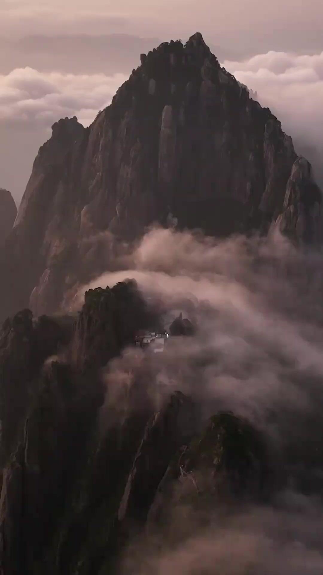 산속 명의의 귀환