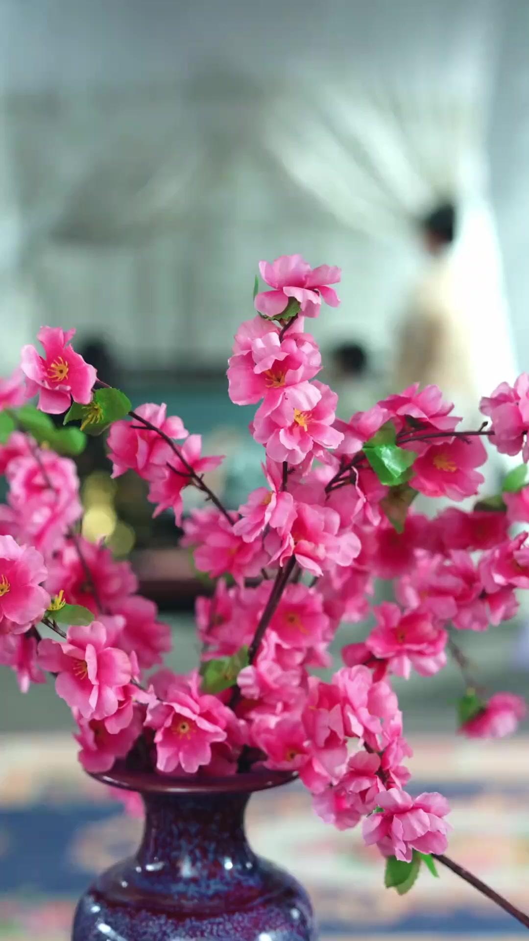 (吹き替え)創龍伝～龍の卵を産んだ彼女