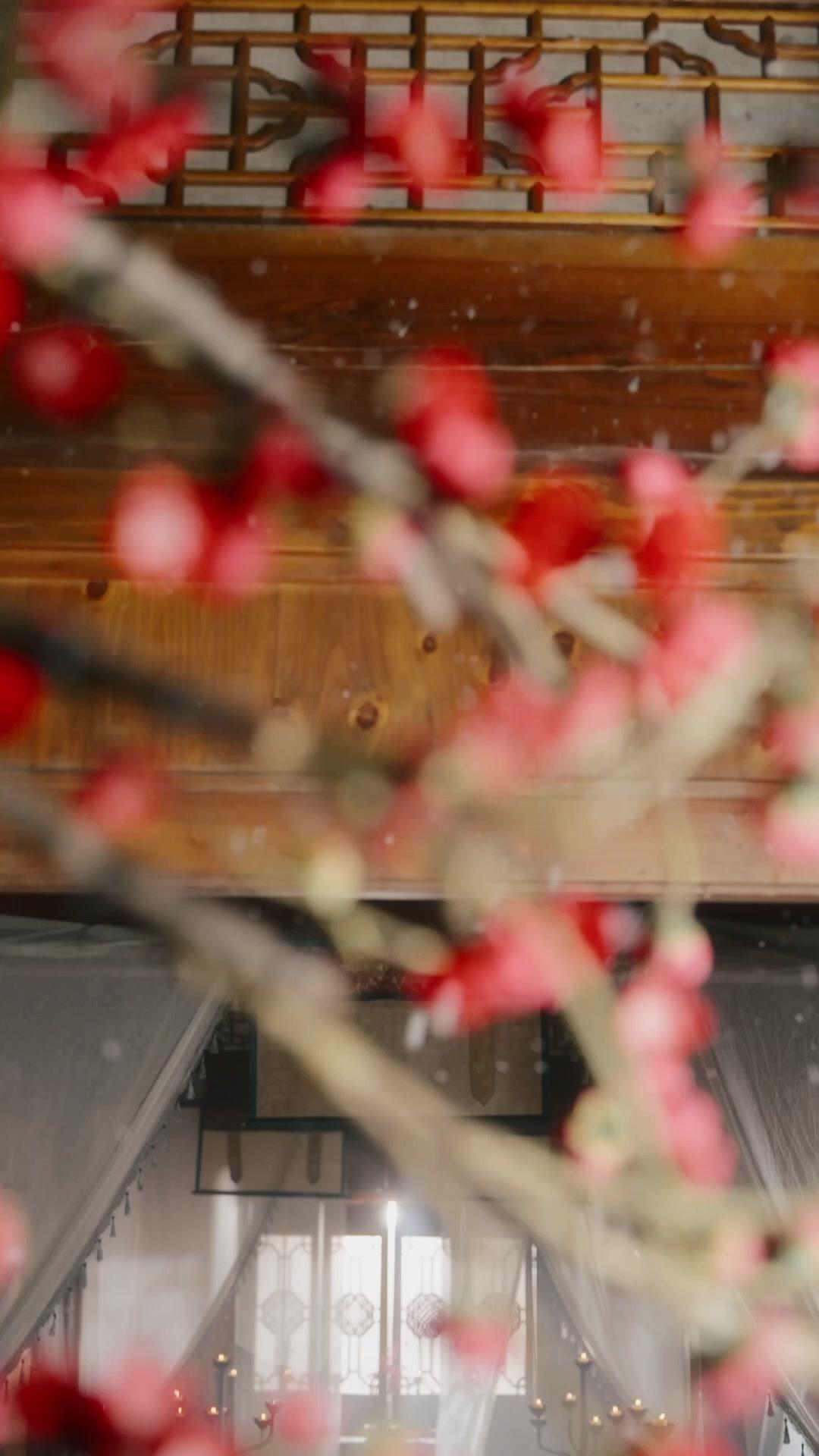 A Vingança da Rainha Renascida