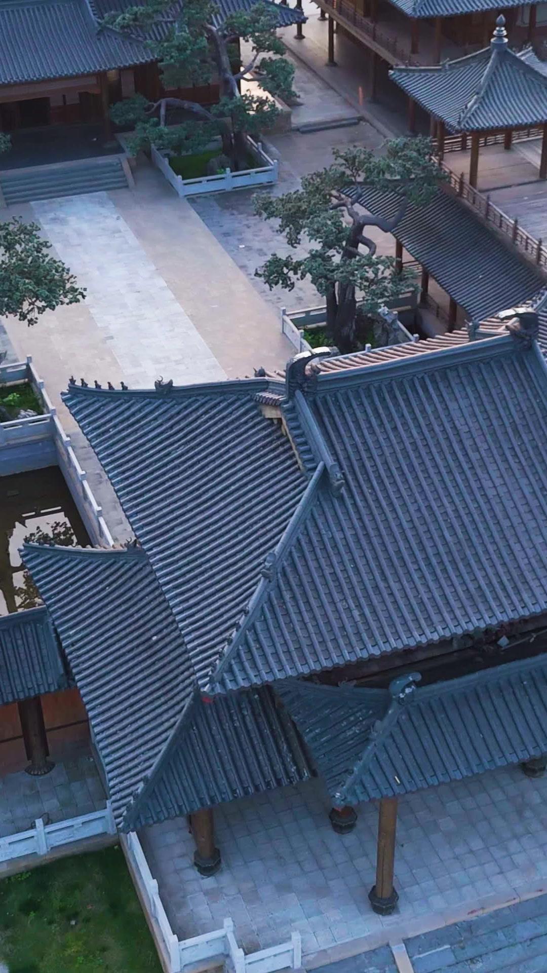 LA PRINCESSE DES CENDRES