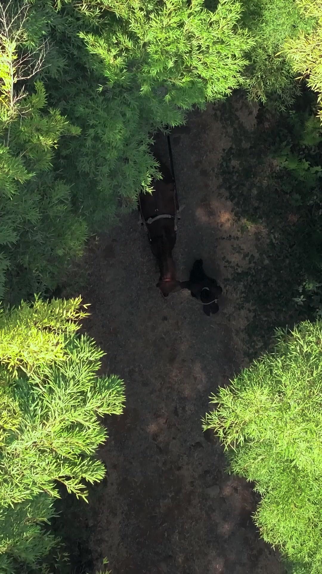 小さな宗祖 剣で物申す