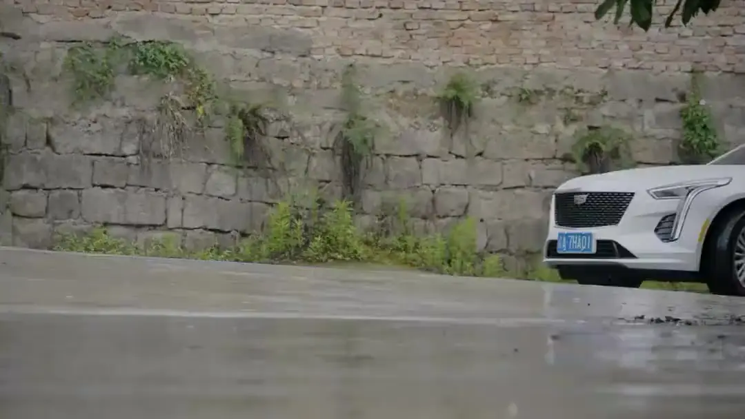 Lovers or Siblings: When the Umbrella Breaks