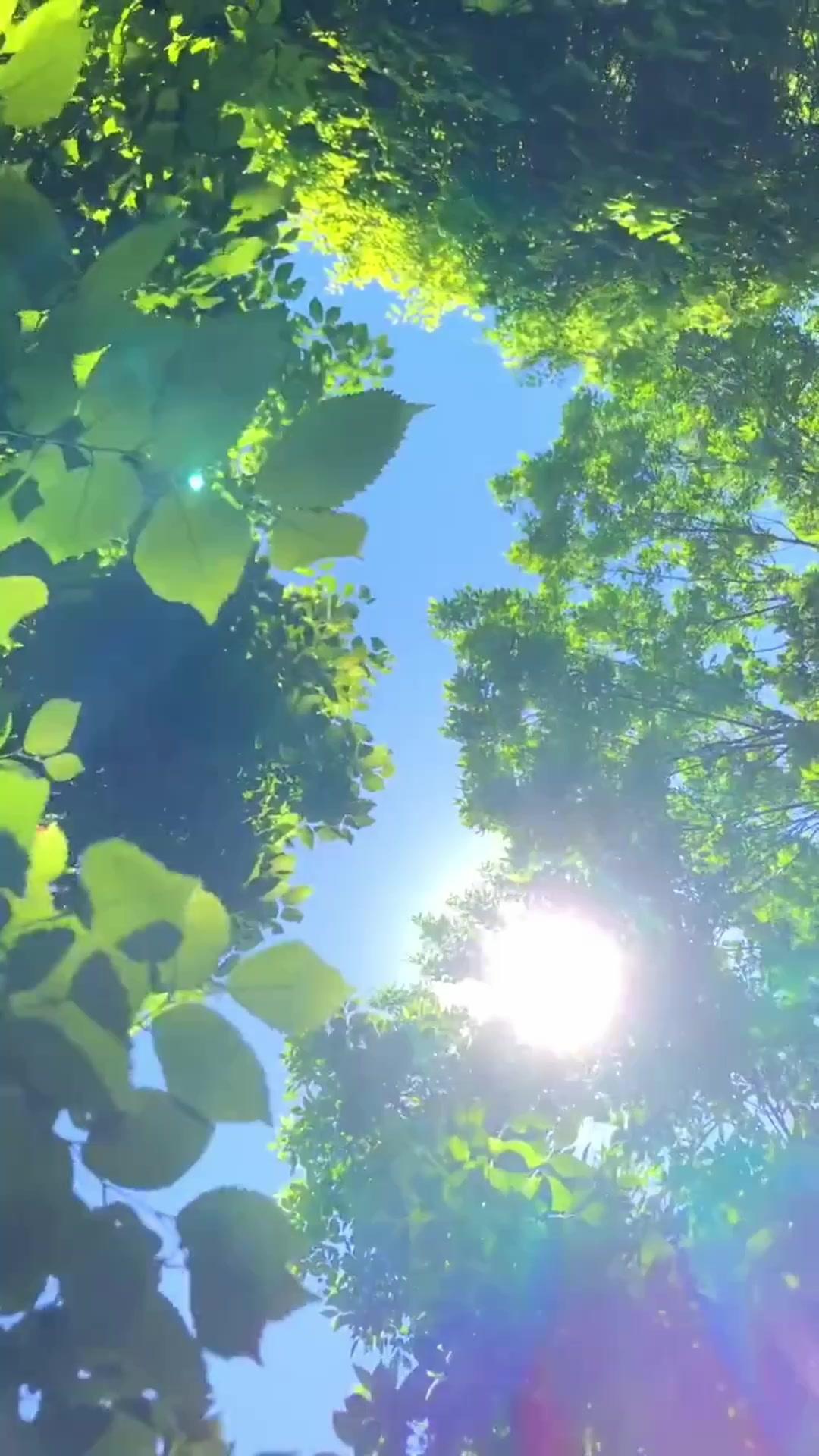 그 남자의 두 얼굴