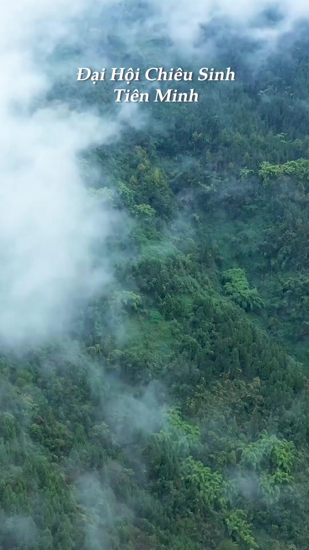 (Lồng tiếng) Thiếu Niên Vô Song