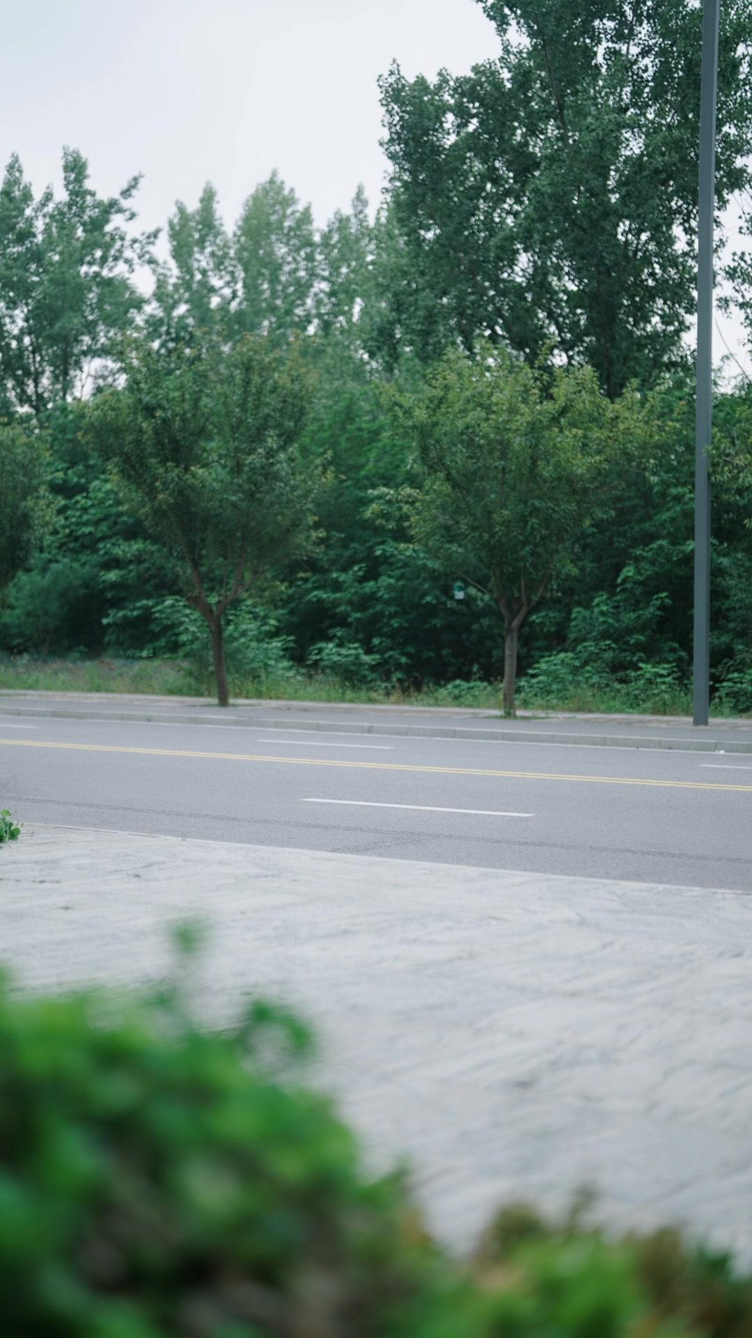 Kaderin Şaşırtan Senfonisi