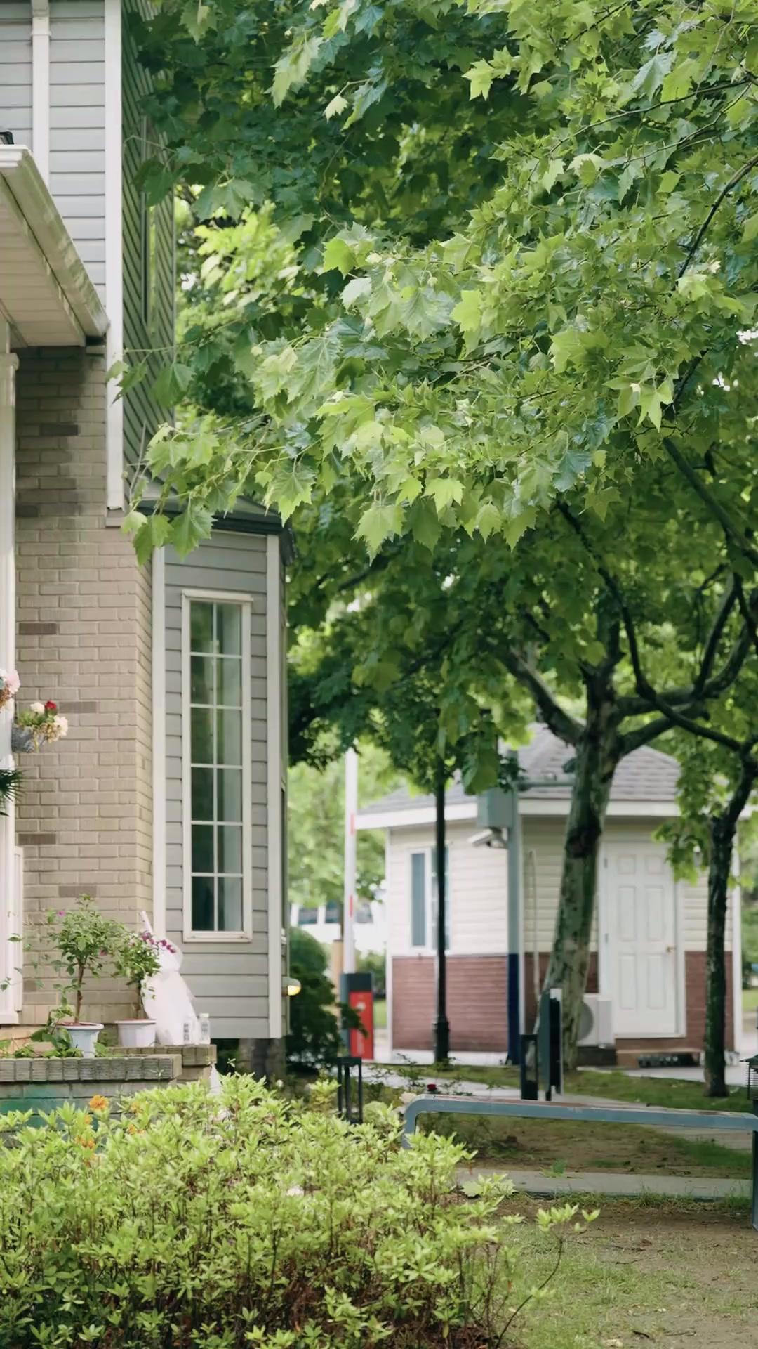 हमारे हाथ हैं हथियार