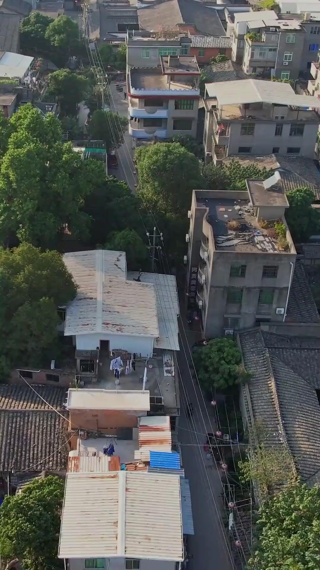 雪解けまで、生きて