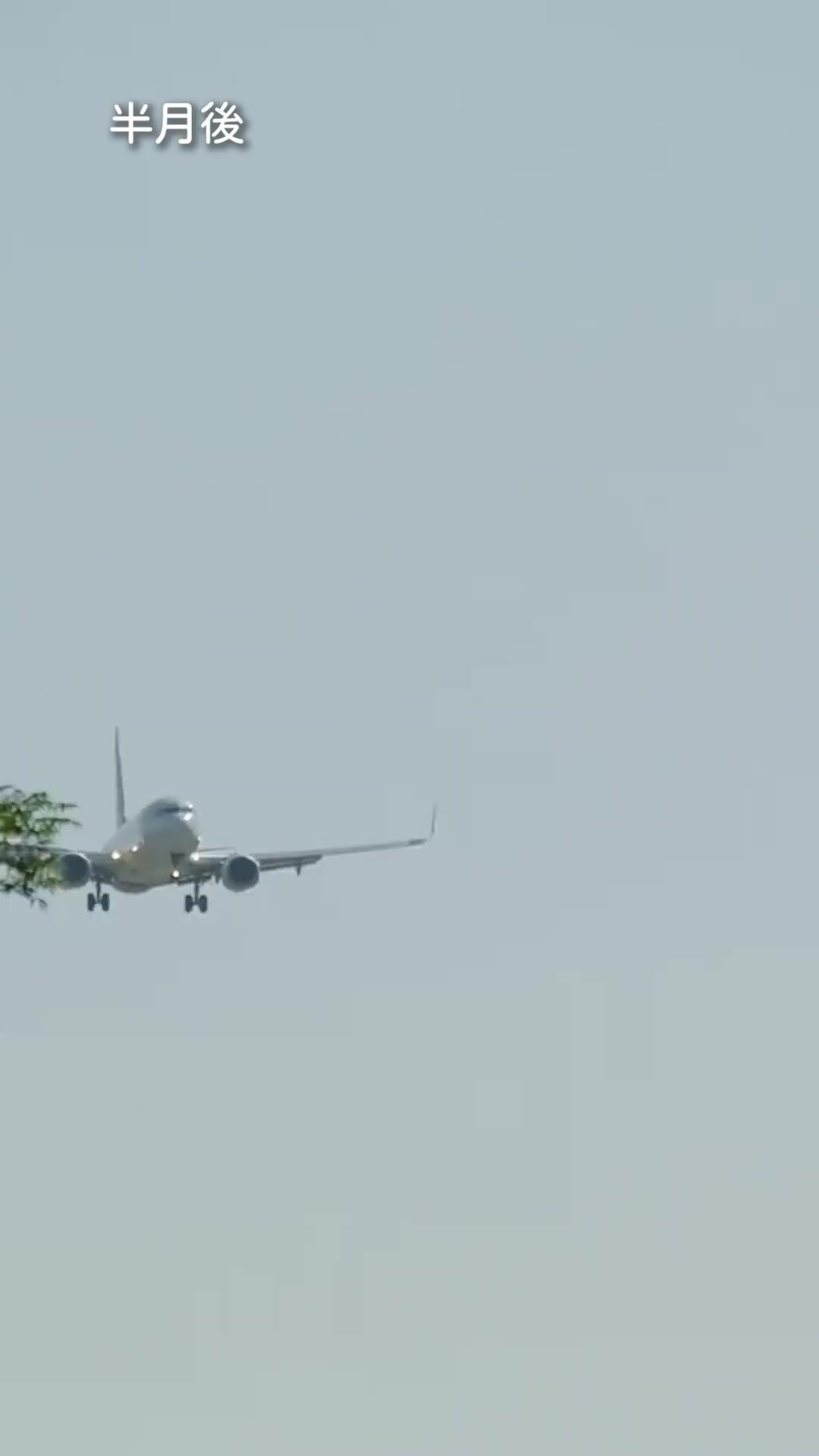 (吹き替え) 私の光は離婚から