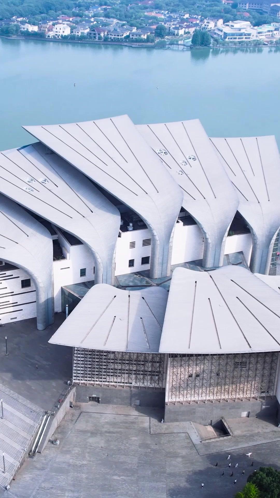 她當眾求婚白月光那天