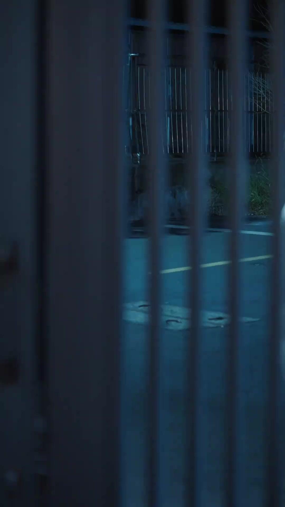 (Dublagem) A General está de Volta: Nenhuma Regra, Nenhum Problema