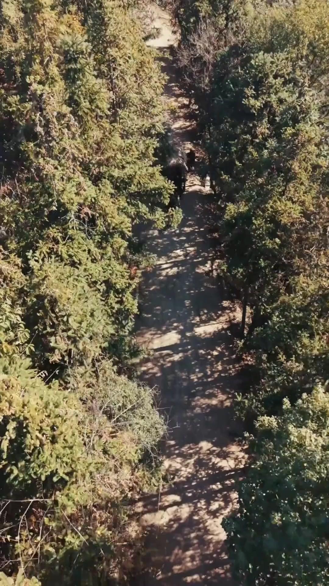 (吹き替え) 理系男子、異世界で産業革命を起こす