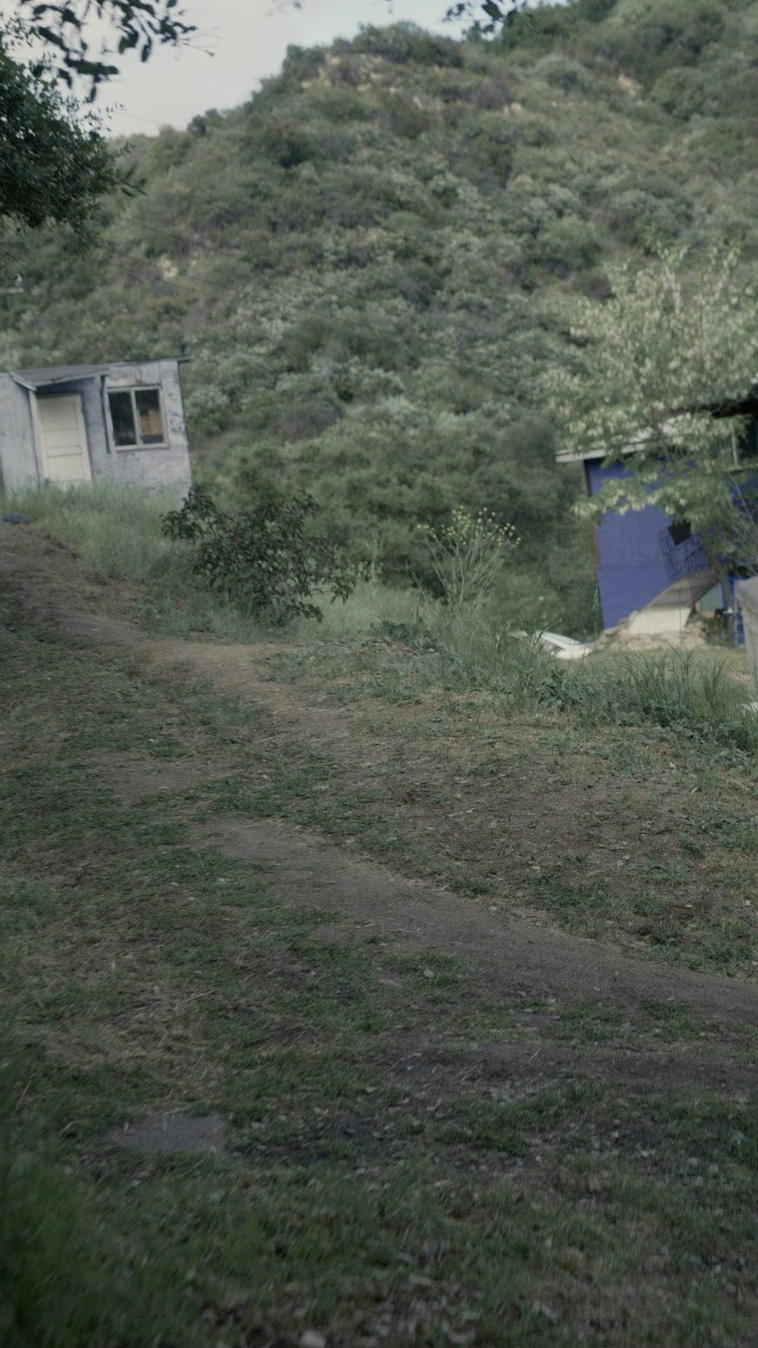 Silencio... ¡ataque de pitón!