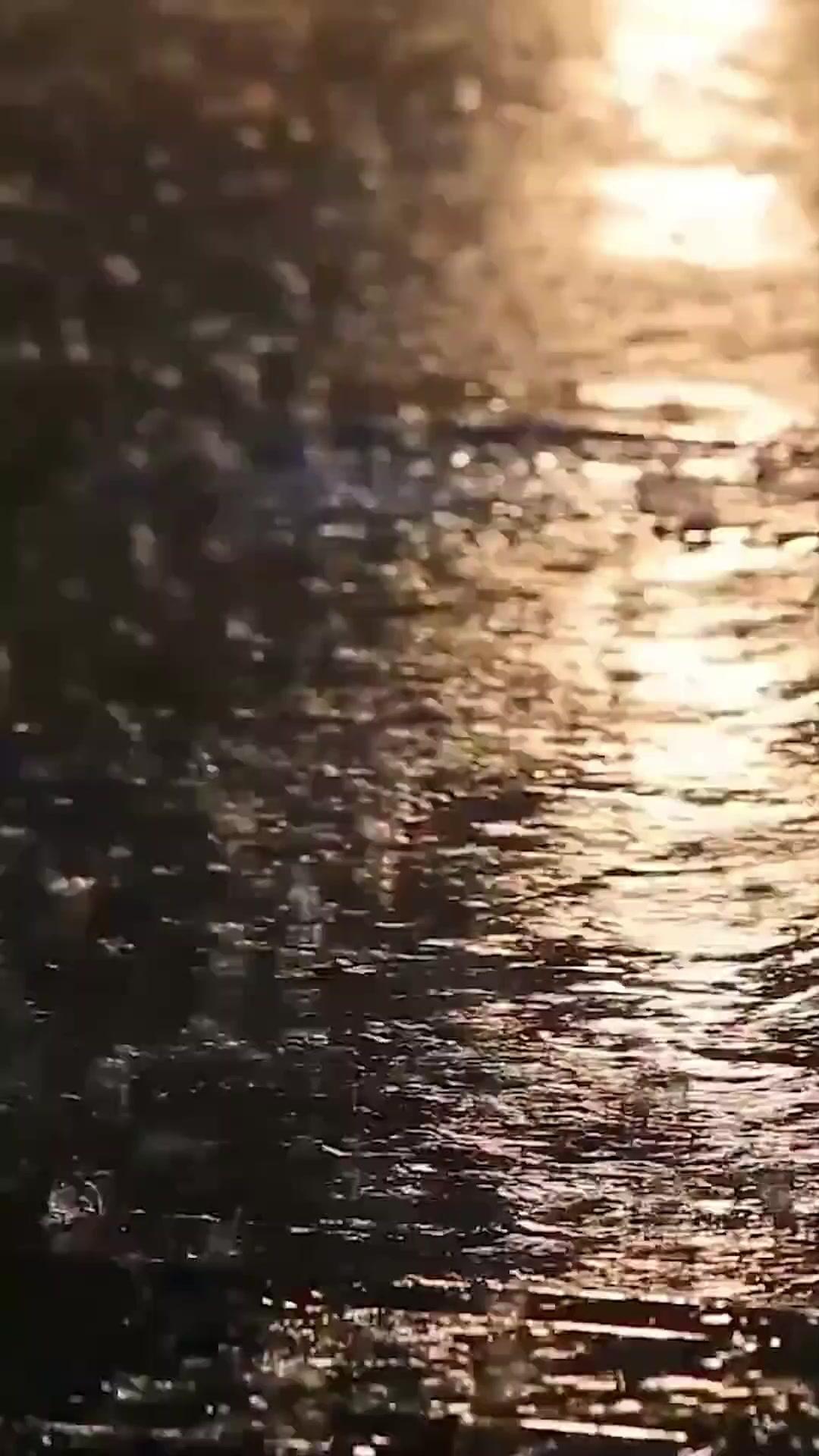 双子を連れて、再びあなたの世界へ