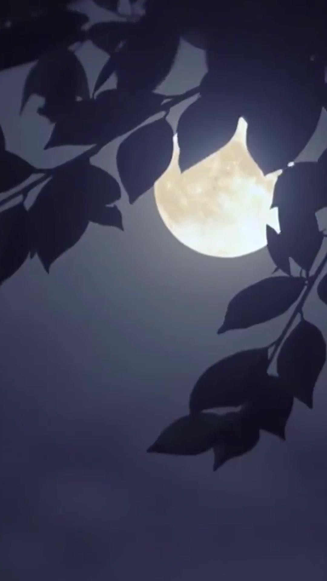 ข้ามภพปลดล็อกเสบียง