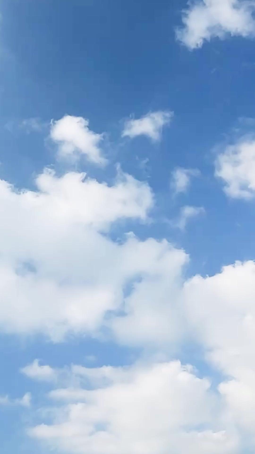 Honey, I Can Read Your Mind!