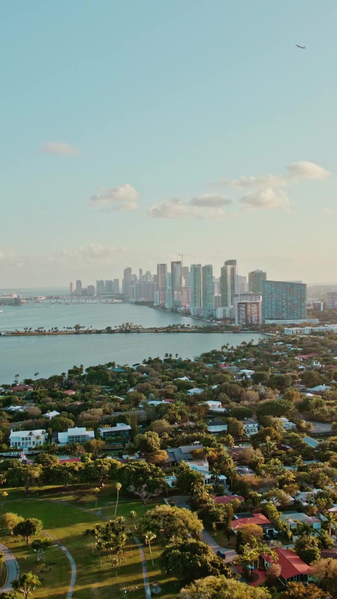 Dr. Norman Please Love Me!