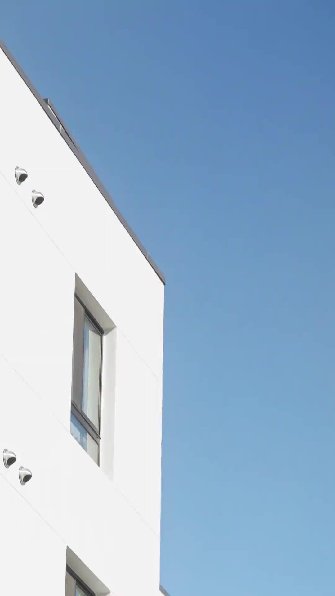 Meu Chefe, o Garoto de Programa de Natal