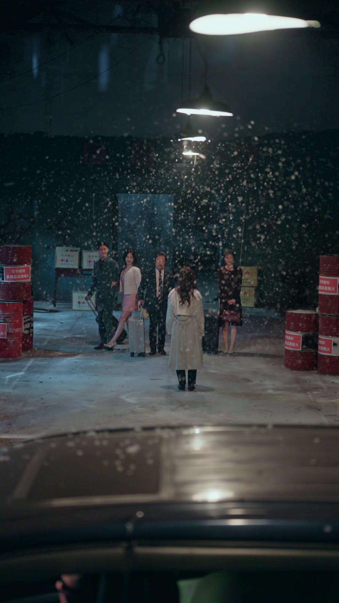 烈焰重生護摯愛