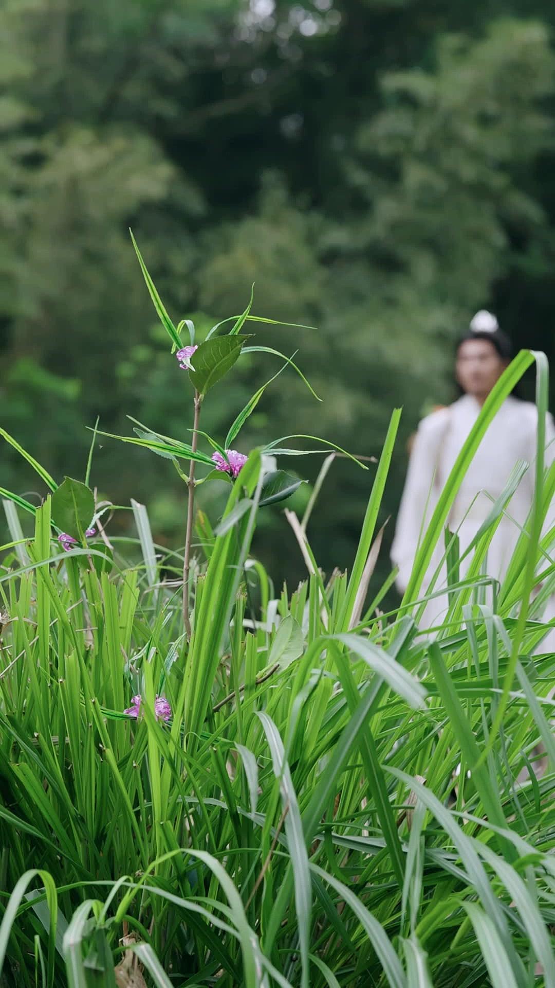 My 3 Wives Make Me a GOD