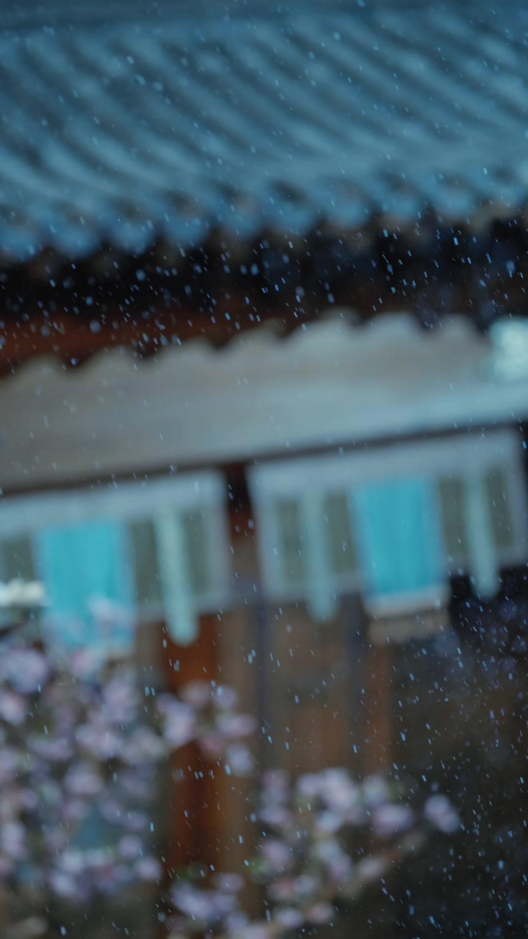 His Blade, Never His Bride