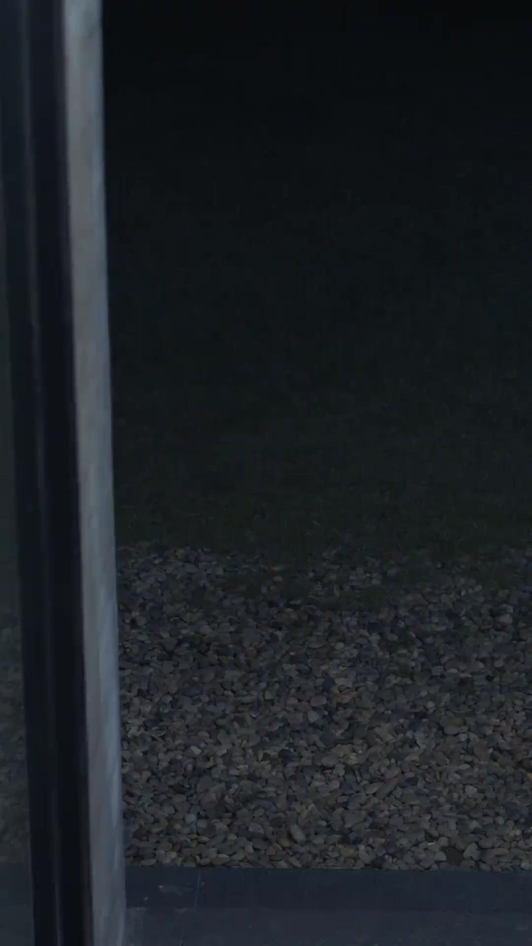 (Dublagem) Te Amo Toda Semana